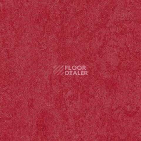 Линолеум Forbo Marmoleum Marbled Fresco 3273-327335 ruby фото 1 | FLOORDEALER